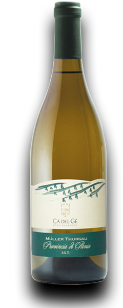 Muller-Thurgau